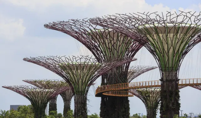 Gardens by the Bay